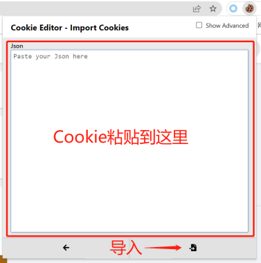将 Cookie 粘贴到输入框并点击导入图标
